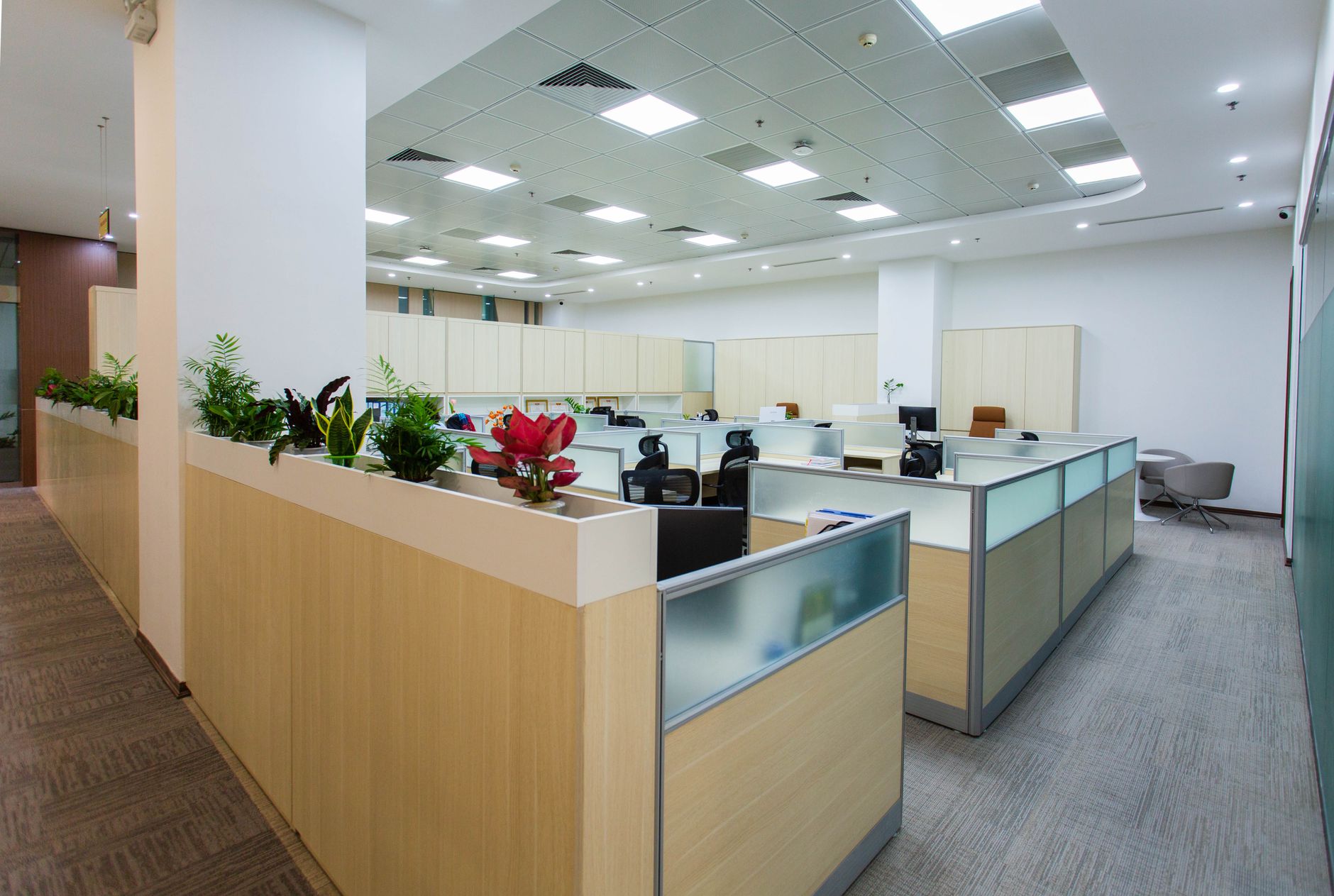 Open-plan office with modern workstations